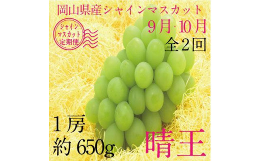 【定期便 全2回】ぶどう 2024年 先行予約 9月・10月発送 シャイン マスカット 晴王 1房 約650g ブドウ 葡萄  岡山県産 国産 フルーツ 果物 ギフト 