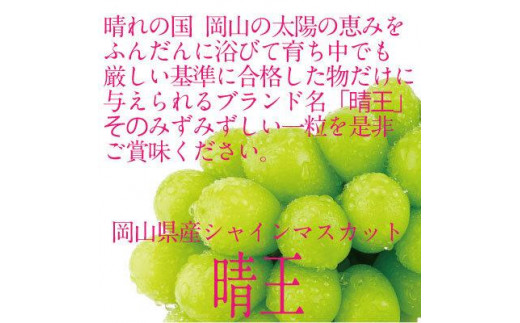 【定期便 全2回】ぶどう 2024年 先行予約 9月・10月発送 シャイン マスカット 晴王 1房 約650g ブドウ 葡萄  岡山県産 国産 フルーツ 果物 ギフト 