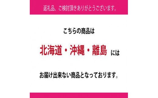 【定期便 全2回】ぶどう 2024年 先行予約 9月・10月発送 シャイン マスカット 晴王 1房 約650g ブドウ 葡萄  岡山県産 国産 フルーツ 果物 ギフト 