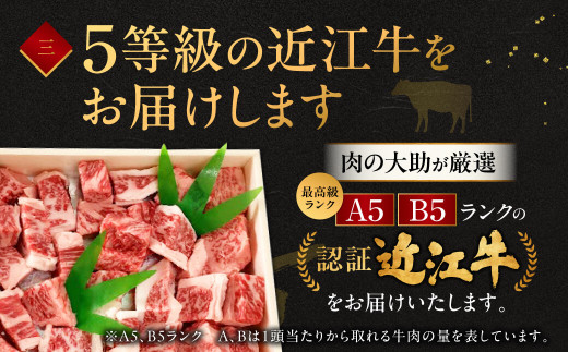 C30 近江牛 サイコロステーキ 550g 肉の大助 牛肉 ロース 訳あり サイコロ ステーキステーキ 牛 牛肉 国産 和牛 赤身  ギフト 贈り物 高級 近江 東近江市  近江牛 ブランド牛 近江牛 牛肉 近江牛 サーロイン 近江牛 贈り物 ギフト 近江牛 やきしゃぶ 近江牛 国産 近江牛 滋賀県 近江牛 近江牛 霜降り 神戸牛 松阪牛 に並ぶ 日本三大和牛 ふるさと納税 滋賀県