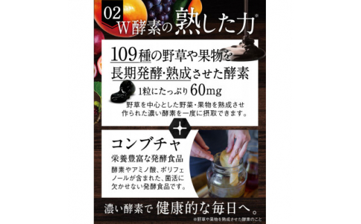 酵素サプリメント 炭酵素ファイバー KUROBIO コエンザイムQ10、サラシア 6袋(6ヶ月分)【1495261】