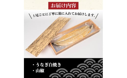 国産 うなぎ 蒲焼 白焼き 各1尾 計2尾 150g以上 × 2本入 計300g 以上 食べ比べセット 冷凍 発送 (鰻 さんしょう 入り 本格 うなぎ 2匹  鰻 白焼 白焼き 蒲焼 蒲焼き うな丼 うな重 ひつまぶし 人気 惣菜 海鮮 贈答用 プレゼント 贈り物 ギフト 滋賀県 竜王町 ふるさと納税 )