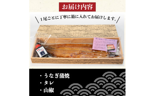 国産 うなぎ 蒲焼 白焼き 各1尾 計2尾 150g以上 × 2本入 計300g 以上 食べ比べセット 冷凍 発送 (鰻 さんしょう 入り 本格 うなぎ 2匹  鰻 白焼 白焼き 蒲焼 蒲焼き うな丼 うな重 ひつまぶし 人気 惣菜 海鮮 贈答用 プレゼント 贈り物 ギフト 滋賀県 竜王町 ふるさと納税 )