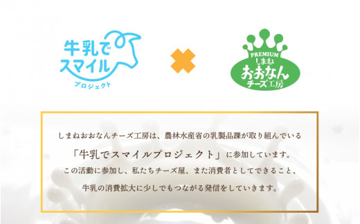 【島根県産】業務用リコッタチーズ　200g×2袋