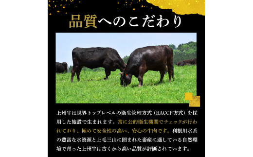 牛肉 焼肉 バラ サーロイン 【上州牛】 ボリューム たっぷり 1.6kg  群馬県 千代田町 ステーキ スライス (1.6kg) 2種 薄切り肉 国産 しゃぶしゃぶ 焼肉 牛鍋 鉄板焼き キャンプ プレゼント ギフト 贈答用 送料無料 