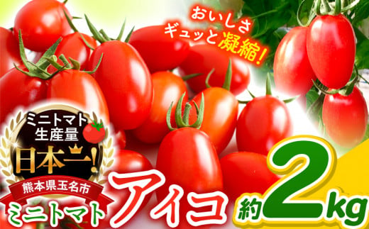 定期便】ソムリエミニトマト「ダイヤ」 3kg × 3ヶ月 | 野菜 やさい トマト とまと ミニトマト みにとまと 熊本県 玉名市 | 熊本県玉名市  | KABU&ふるさと納税 | 株がもらえるカブアンド