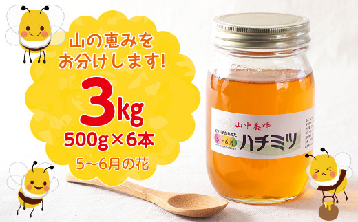 【自然のまま】富津産ハチミツ（5～6月の花）500g×6本 計3kg