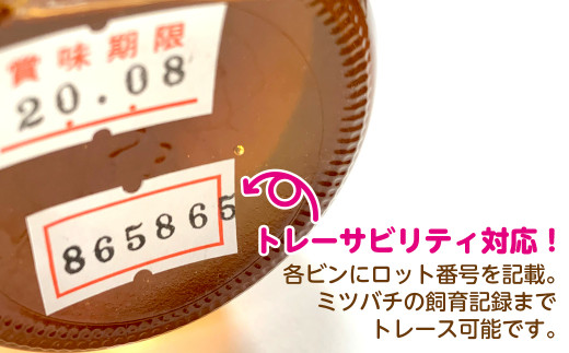 【自然のまま】富津産ハチミツ（5～6月の花）500g×6本 計3kg