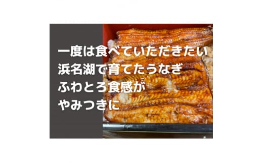 ＜浜名湖産＞うなぎ蒲焼き(真空パック)×4本　タレ・山椒付・お吸い物付【1398865】