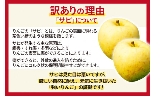 ＼訳あり／りんご 純情 はるか 約2.5kg 糖度14度以上【先行予約 12月発送】数量限定 わけあり 自家用 岩手県産 りんご リンゴ 林檎 はるか 純情はるか フルーツ くだもの 果物 【冬恋研究会】 (AI011)