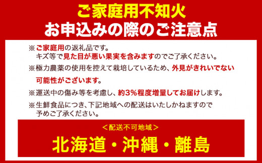 訳あり 不知火 【 デコポン と 同品種 】 みかん ご家庭用 2.5kg+75g(傷み補償分) 池田鹿蔵農園 @日高町 《2月上旬-3月末頃出荷》和歌山県 日高町 送料無料 しらぬい でこぽん 家庭用 訳あり 不知火 訳あり デコポン わけあり【配送不可地域あり】