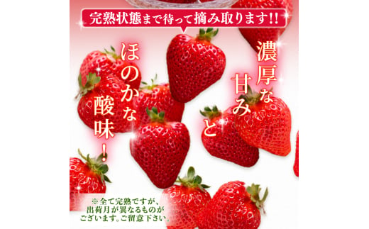 【1月から発送予定】先行予約! 数量限定 福岡産 あまおう 約275ｇ×2パック セット いちご 苺 イチゴ フルーツ 果物 くだもの 春 旬 福岡 九州 福岡県 川崎町 暖家のいちご