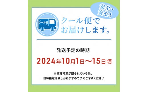 志賀高原の麓で育った シャインマスカット 3～5房 約2kg 2024年（R6年）10月1日～15日頃出荷予定※お届け日時指定不可【 ぶどう フルーツ 果物 デザート 長野県 長野 】