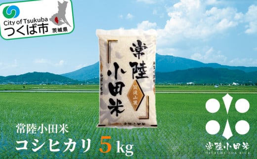 常陸小田米　5kg【2024年9月下旬以降に発送予定】　茨城県つくば市産コシヒカリ【 コメ こめ 米 お米 ごはん 茨城県産 】