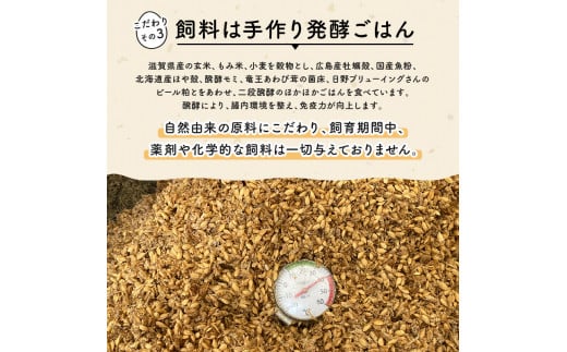 訳あり B級たまご 平飼い有精卵 滋賀竜王卵 25個 ※割れ保証計3個 ( こんもり盛り上がるプルプルな卵白 滋賀竜王卵 新鮮 平飼い 卵 純国産 鶏もみじ 訳あり 大人気 たまご 鶏卵 卵黄 エッグ 希少 たまごかけ ご飯 玉子 タマゴ 玉子焼き たまご焼き すき焼き 鶏 ケーキ 産地直送 送料無料 国産 滋賀県 竜王町 ふるさと納税 )