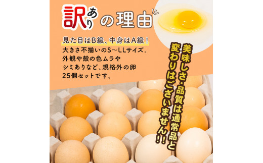 訳あり B級たまご 平飼い有精卵 滋賀竜王卵 25個 ※割れ保証計3個 ( こんもり盛り上がるプルプルな卵白 滋賀竜王卵 新鮮 平飼い 卵 純国産 鶏もみじ 訳あり 大人気 たまご 鶏卵 卵黄 エッグ 希少 たまごかけ ご飯 玉子 タマゴ 玉子焼き たまご焼き すき焼き 鶏 ケーキ 産地直送 送料無料 国産 滋賀県 竜王町 ふるさと納税 )