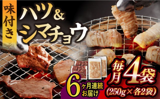 国産 牛肉 ホルモン シマチョウ 小分け 味付き 冷凍 焼肉 焼き肉 和牛 塩 しお 牛 定期便 ていきびん 定期 チョウ