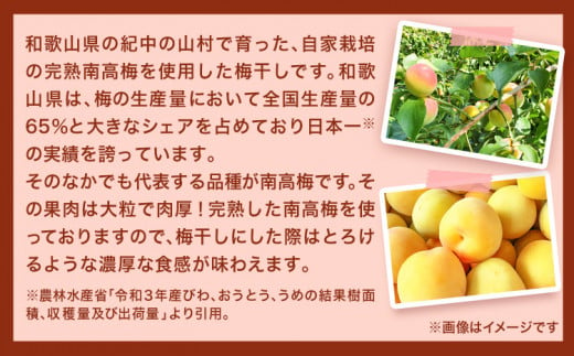 紀州南高梅使用れーずん入り完熟梅干し 800g 厳選館 《90日以内に出荷予定(土日祝除く)》 和歌山県 日高川町 紀州南高梅 れーずん レーズン 梅干し