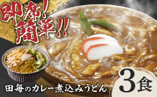 岐阜の味　田毎のカレー煮込みうどんセット 即席 カンタン 麺 岐阜市/ラボレムス [ANFP001]