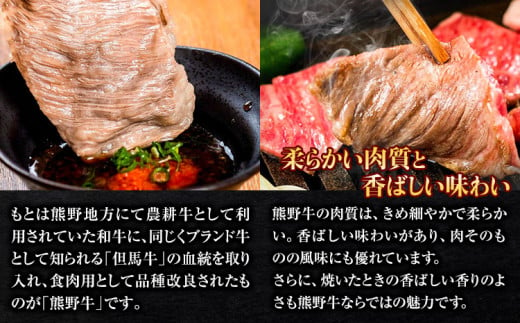 熊野牛 牛丼の具 計700g 140g ×5個 粉山椒付き 澤株式会社(Meat Factory)《90日以内に出荷予定(土日祝除く)》和歌山県 日高町 送料無料 牛肉 肉 牛丼 レンジ 湯煎 冷凍