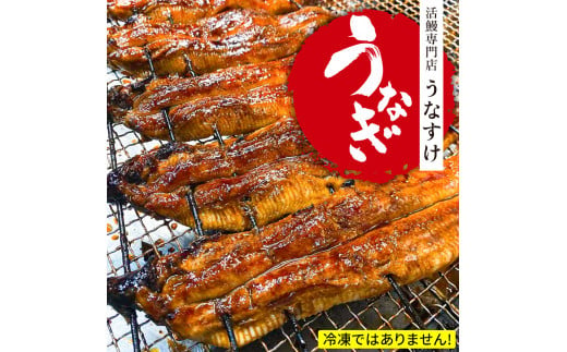 国産うなぎ蒲焼き (3匹)｜名店 鰻 ウナギ うな丼 鰻丼 冷蔵 クール便 ひつまぶし 丑の日 簡単調理 [0852]