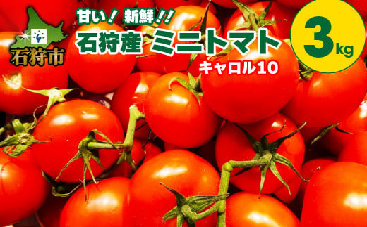 150027001 石狩産ミニトマト(キャロル10)3kg｜ふるさと納税 石狩市 北海道 北海道産 トマト とまと 野菜 新鮮 旬野菜 夏野菜