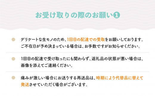  先行予約 さくらんぼ 佐藤錦 秀Lサイズ バラ詰め 700g(350g×2パック) 2025年産 令和7年産 山形県産 ns-snslb700