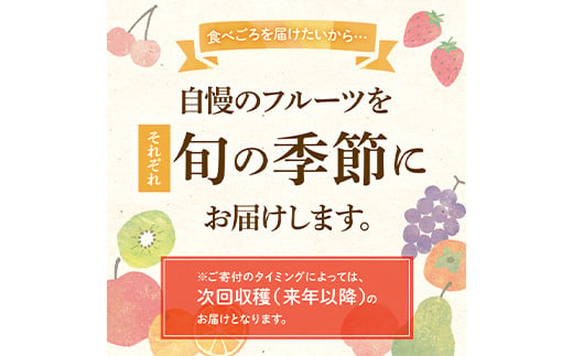 【旬な時期にお届けします！1月中旬～2月下旬】 デコポン 瀬戸内の果汁溢れるみかん ハウス不知火 約2.7kg しらぬい 糖度13度以上 みかん 柑橘 フルーツ 旬 でこぽん デコポン 厳選 F5J-546