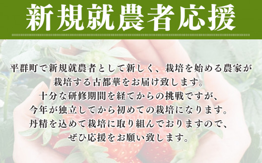 新規就農者応援 古都華 2パック 1月発送 | フルーツ 果物 くだもの ブランド いちご 苺  古都華 ことか ルビー色 旬  奈良県 平群町 