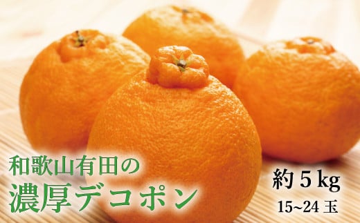 【大人気】和歌山有田の濃厚デコポン　15～24玉(約5kg)　※2025年1月中旬～3月下旬に順次発送予定【ard005B】