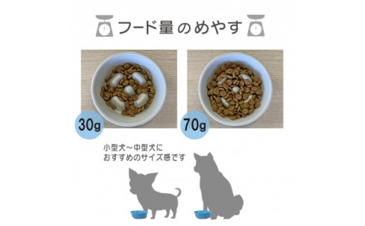 美濃焼　陶器製ペット用フードボウル＜早食い防止 丸平台フードボウル/ホワイトpet142＞【1427839】