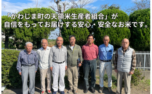 定期便 3か月連続お届け 特別栽培米 コシヒカリ 白米 5kg （5kg×1袋）×3回  計15kg 食味値80以上 栽培期間中農薬不使用 有機肥料 かわじま町の天領米 令和5年産 2023年産 小分け 米 コメ 安心 安全  減農薬 埼玉県認証 埼玉県 川島町