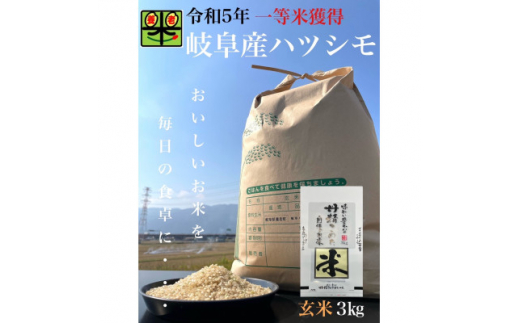 岐阜県養老町産　ハツシモSL　3kg　玄米【1498448】