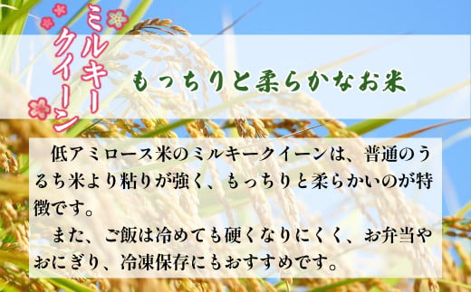 【令和6年産】ミルキークイーン精米5kg　一等米！　【07461-0007】