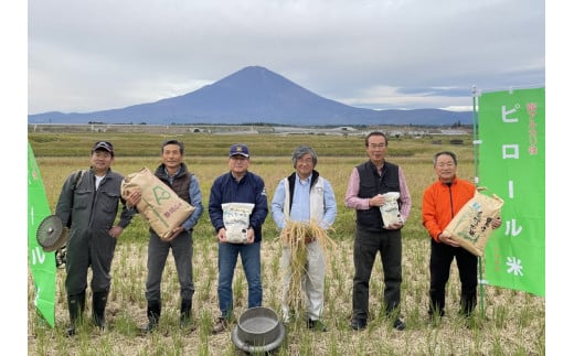 ピロール米　御殿場こしひかり　5kg
※着日指定不可