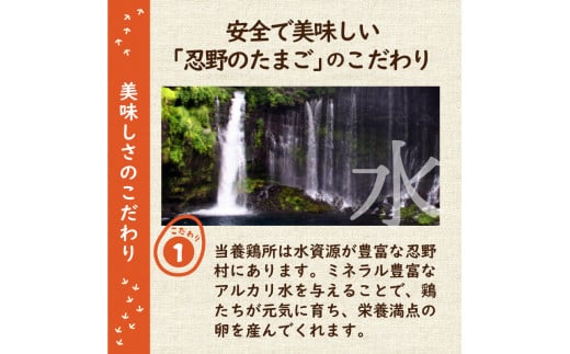 【6ヶ月定期便】富士山の麓で育った産地直送 ”忍野の卵”※卵25個+割れ保証5個　計180個