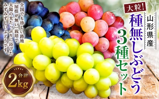 【配送地域限定】大粒！種無しぶどう3種セット （シャインマスカット＋旬なぶどう） 2kg 【2024年9月下旬～10月上旬に順次発送予定】