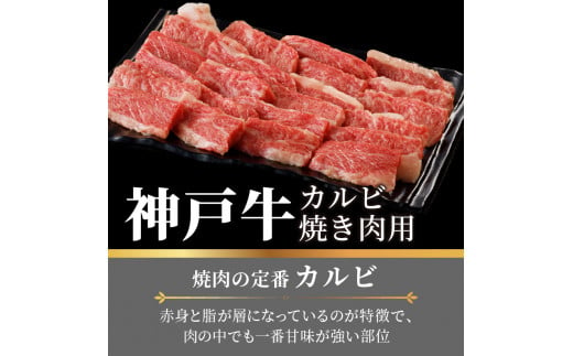 ★選べる配送月★【11月発送】神戸牛カルビ焼肉700g《 肉 カルビ 神戸牛 焼肉 国産 バーベキュー サシ 和牛 プレゼント ギフト お取り寄せ 送料無料 おすすめ 》【2402A00214-11】