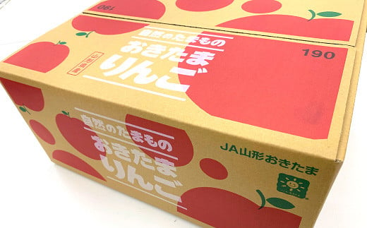 【令和6年産先行予約】 JA りんご 「サンふじ」 約2kg (5～8玉 秀) 《令和6年11月中旬～12月中旬発送》 『JA山形おきたま』 山形県 南陽市 [1160]