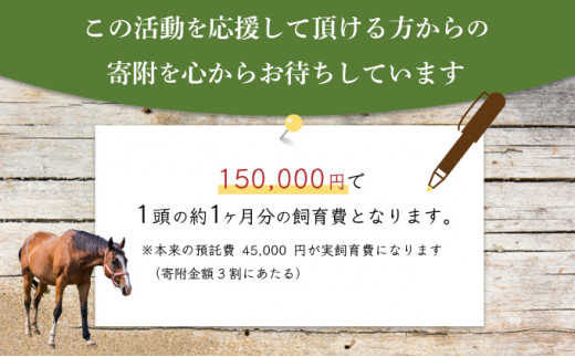 【引退競走馬 余生支援】北海道 岩内町 ホーストラスト北海道支援 5万円コース 引退馬 F21H-558