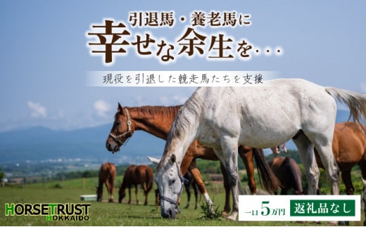 【引退競走馬 余生支援】北海道 岩内町 ホーストラスト北海道支援 5万円コース 引退馬 F21H-558