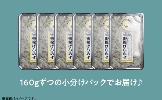 388 釜揚げしらす 約960g(約160g × 6パック)【茨城県共通返礼品/大洗町】