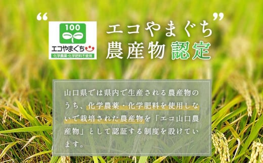 みね食育こども米 2kg 先行予約＜9月下旬以降 発送予定＞ | 山口県 山口 美祢 楽天ふるさと ふるさと 納税 楽天ふるさとの納税 支援品 返礼品 支援 返礼 米 国産 白米 食育 農薬不使用 健康 有機 ご当地 お土産 名産品 特産品  土産 2kg