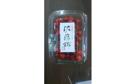 【令和7年産先行受付】中山町産さくらんぼ＜佐藤錦＞秀品　約800ｇ　200g×4P