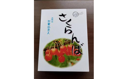 【令和7年産先行受付】中山町産さくらんぼ＜佐藤錦＞秀品　約800ｇ　200g×4P