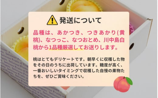 【2025年先行予約】新潟県産 厳選旬のもも 約2kg（1品種） 《7月下旬～8月中旬配送予定》 果物 フルーツ 桃 加茂市 いたみ果樹園