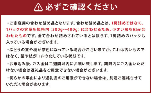 ご家庭用 旬のぶどう食べ比べ 完熟巨峰 シャインマスカット 詰め合わせ 計5パック 約1.5kg 