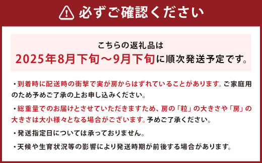 ご家庭用 旬のぶどう食べ比べ 完熟巨峰 シャインマスカット 詰め合わせ 計5パック 約1.5kg 