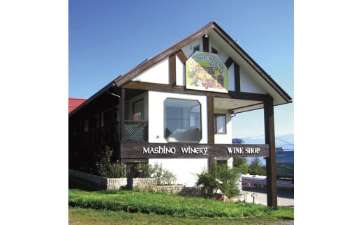 山葡萄ワイン 2種セット（500ml×2本） 長野県 信州 南信州 高森町 ぶどう 山ブドウ 山ぶどう やまぶどう お酒 アルコール 信州まし野ワイン