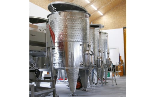 山葡萄ワイン 2種セット（500ml×2本） 長野県 信州 南信州 高森町 ぶどう 山ブドウ 山ぶどう やまぶどう お酒 アルコール 信州まし野ワイン